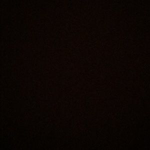 Meet your Posher, Isabella